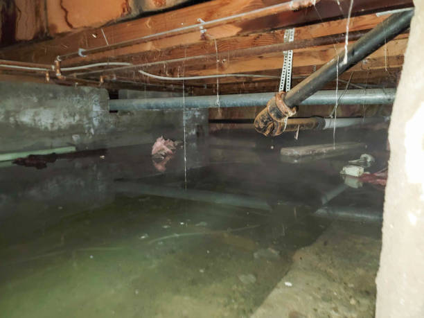 Local water damage restoration in Fitchburg, WI