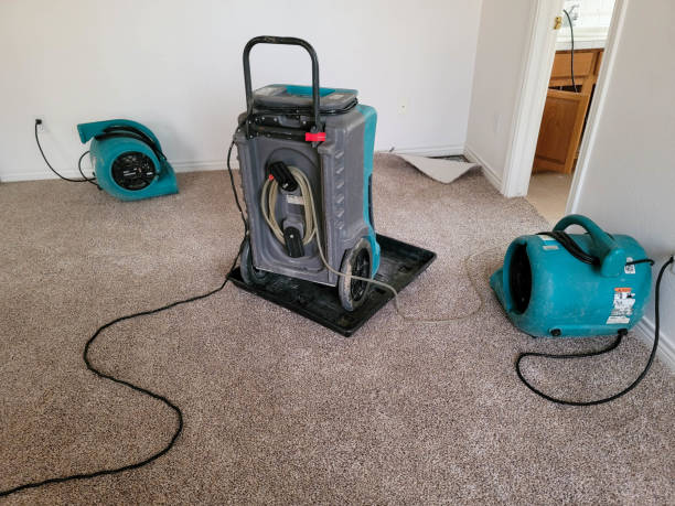 Best Water damage contractors near me  in Fitchburg, WI