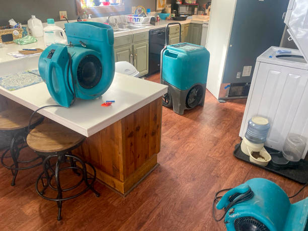 Best Residential water damage restoration  in Fitchburg, WI