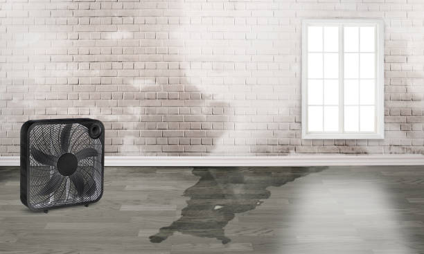 Best Water damage restoration near me  in Fitchburg, WI