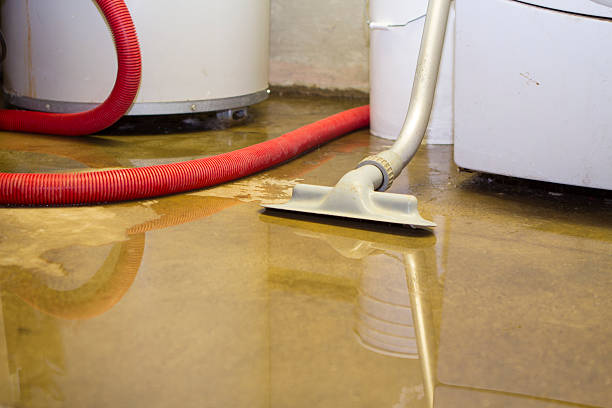 Best Flood restoration services  in Fitchburg, WI