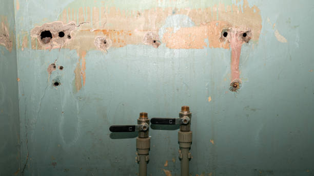 Best 24-hour water damage restoration  in Fitchburg, WI
