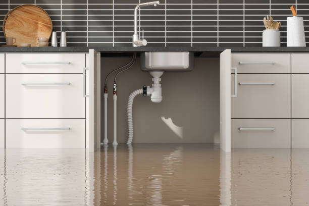 Water damage restoration insurance claims in Fitchburg, WI