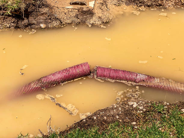 Best Sewage cleanup and water damage restoration  in Fitchburg, WI